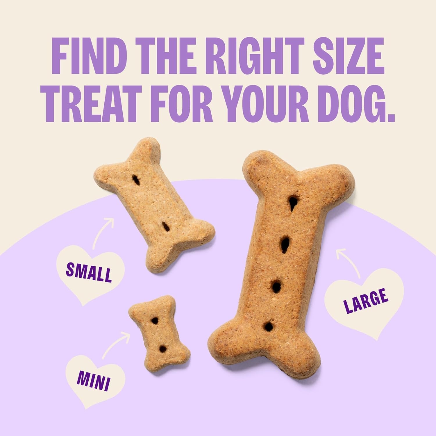 Wellness  Classic Original Mix Dog Biscuits, Natural Training Treats, 4 Flavors, Small Size, 6 Lb Bag