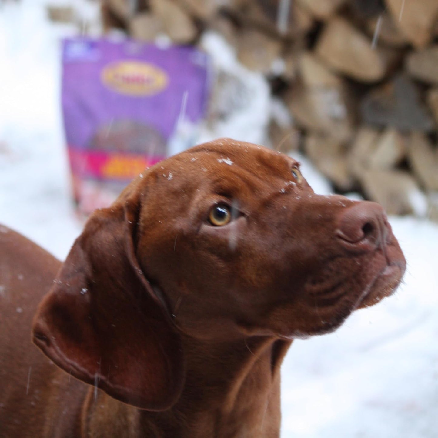 Gourmet Duck Jerky Dog Treats for Training - Healthy & Natural Dog Training Treats for Small & Large Breeds - Inspected & Tested in USA (40 Oz.)