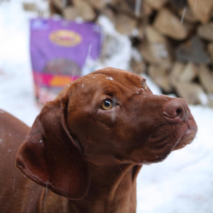 Gourmet Duck Jerky Dog Treats for Training - Healthy & Natural Dog Training Treats for Small & Large Breeds - Inspected & Tested in USA (40 Oz.)