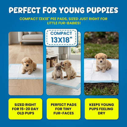 FPN Puppy Pads for Dogs Small 13X18 Inch | Disposable Puppy Pee Pads for Dogs | Pet Training Pads 100 Count for Potty Training, Small Dog Pee Pads, Puppy Training Pads Bulk