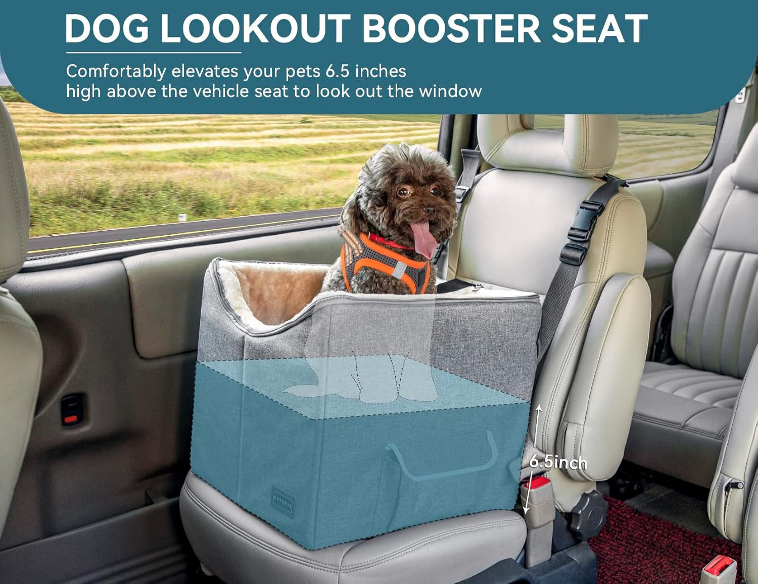 Small Dog Car Booster Seat with Safety Belt, Washable Double-Sided Cushion, and Storage Pocket for Small Pets (Light Grey)
