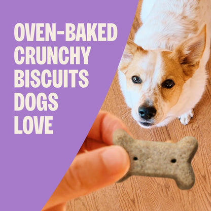 Wellness  Classic Original Mix Dog Biscuits, Natural Training Treats, 4 Flavors, Small Size, 6 Lb Bag