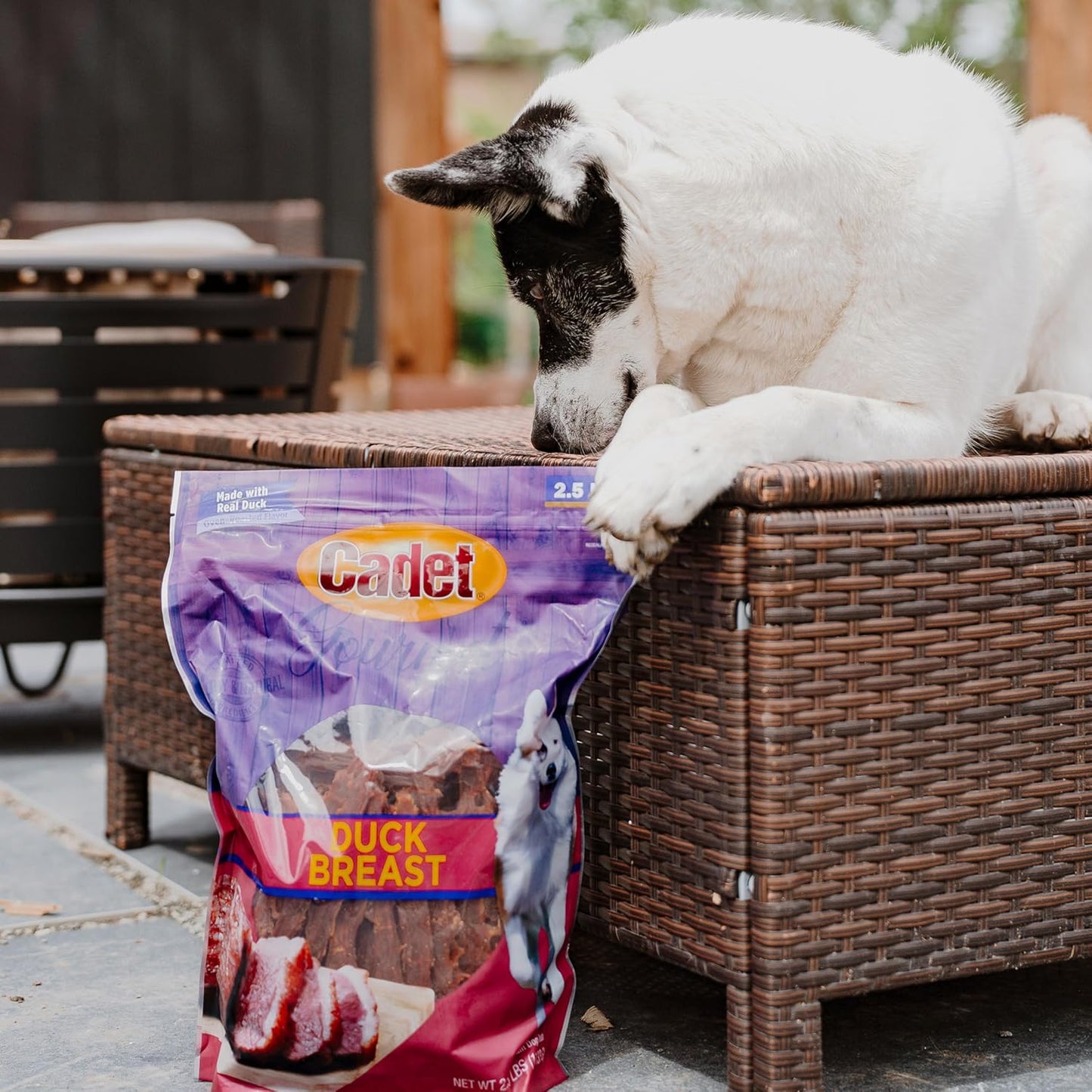Gourmet Duck Jerky Dog Treats for Training - Healthy & Natural Dog Training Treats for Small & Large Breeds - Inspected & Tested in USA (40 Oz.)
