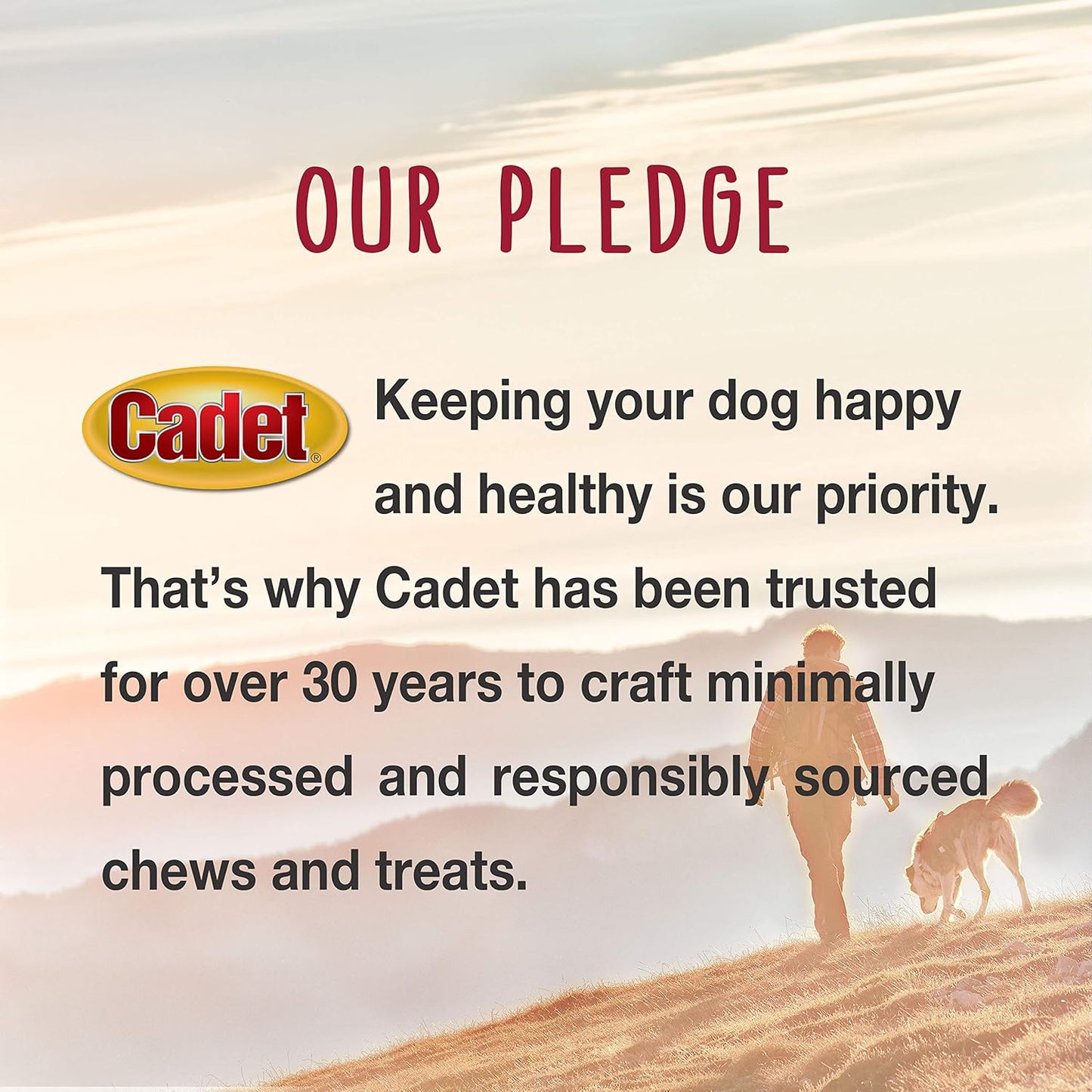 Gourmet Duck Jerky Dog Treats for Training - Healthy & Natural Dog Training Treats for Small & Large Breeds - Inspected & Tested in USA (40 Oz.)