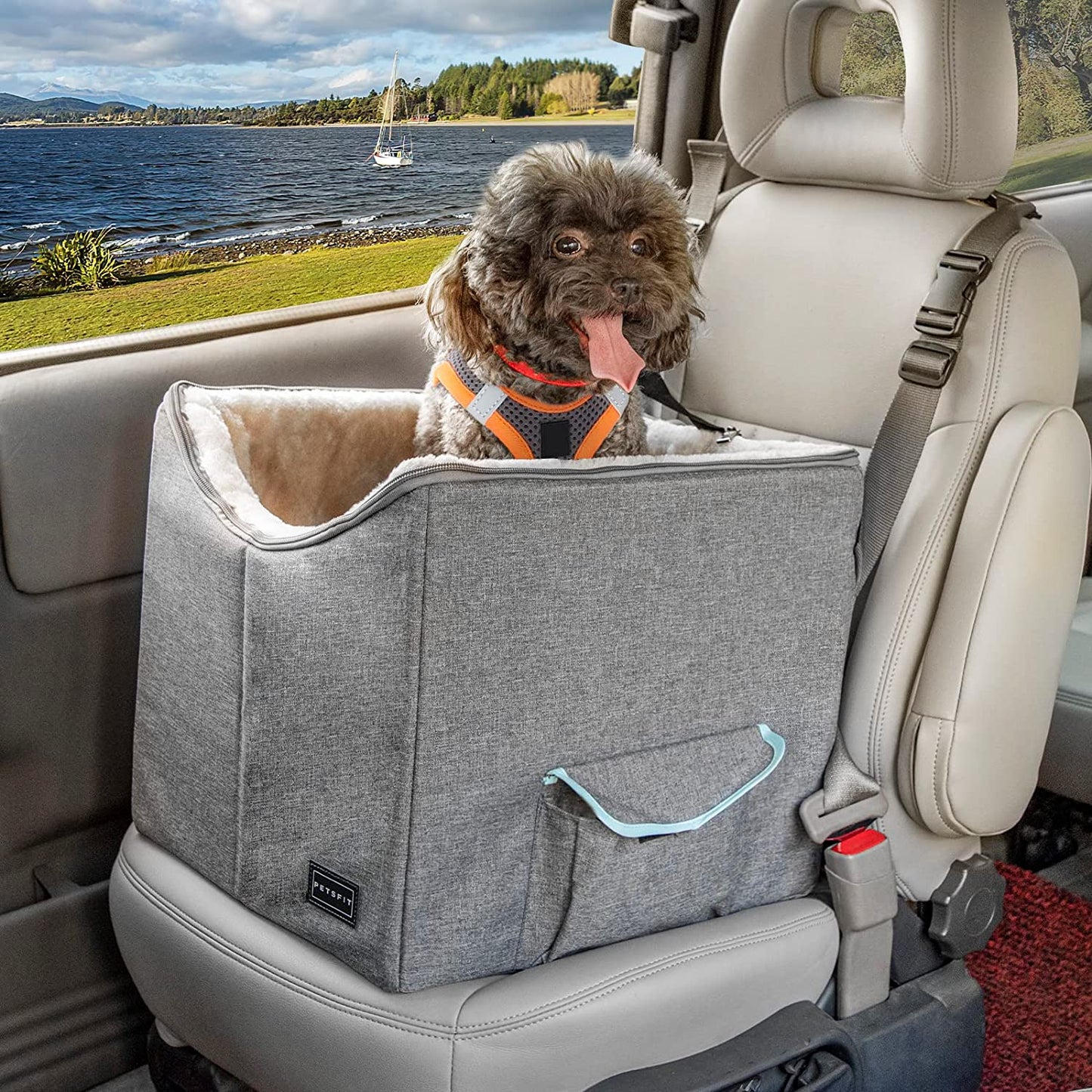Small Dog Car Booster Seat with Safety Belt, Washable Double-Sided Cushion, and Storage Pocket for Small Pets (Light Grey)