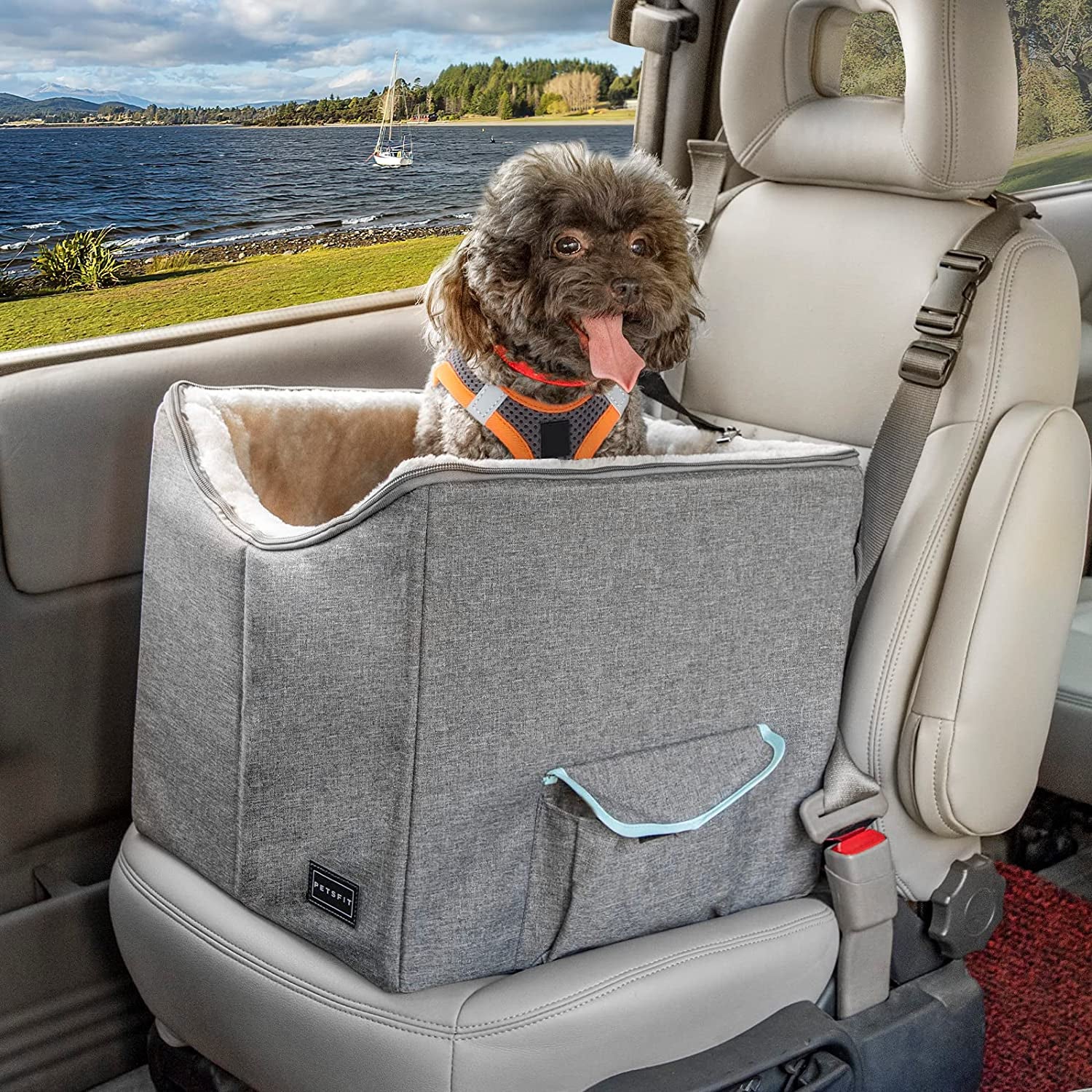 Small Dog Car Booster Seat with Safety Belt, Washable Double-Sided Cushion, and Storage Pocket for Small Pets (Light Grey)