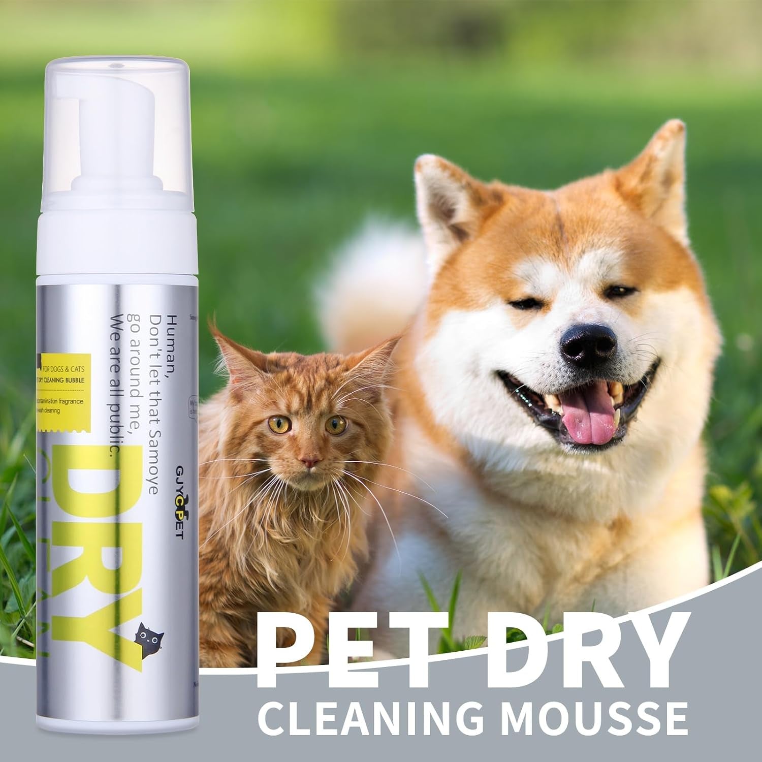 Waterless Kitten Shampoo Cat Shampoo - Licking Safe Dry Foam for Cats & Kittens | Rinse Free, Dander Reducing, Paraben-Free, Ph Balanced (6.76 Oz)