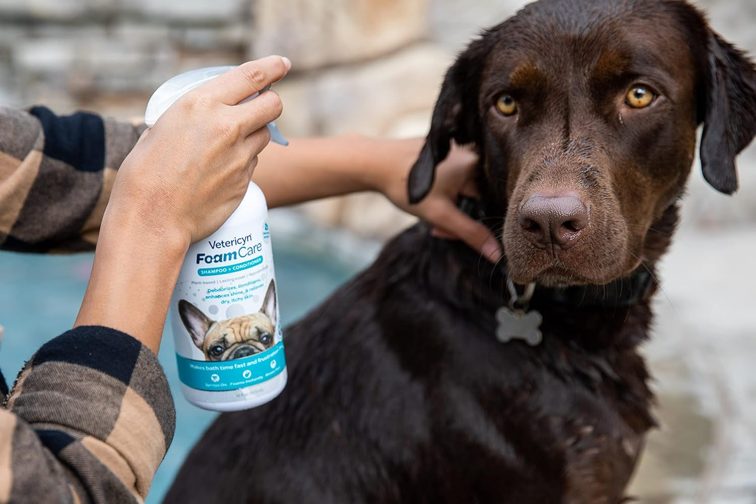 Foamcare Dog Shampoo and Conditioner - Instant Foaming, Spray-On Hypoallergenic Shampoo, Plant-Based Formula for Dogs and Cats. 16 Ounce