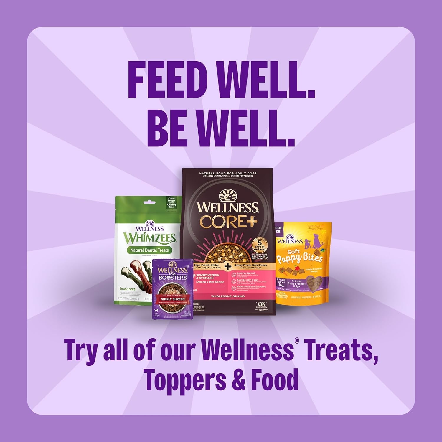 Wellness  Classic Original Mix Dog Biscuits, Natural Training Treats, 4 Flavors, Small Size, 6 Lb Bag