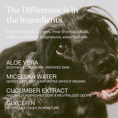 Waterless Dog Shampoo, Fresh Coat, Dog Dry Shampoo, Dry Shampoo for Dogs, No Rinse Fragrance Free Cleansing Spray, Waterless Shampoo for Dogs, Dry Shampoo Alternative, 8.4 Fl Oz